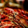 lobster-dinner-BVI